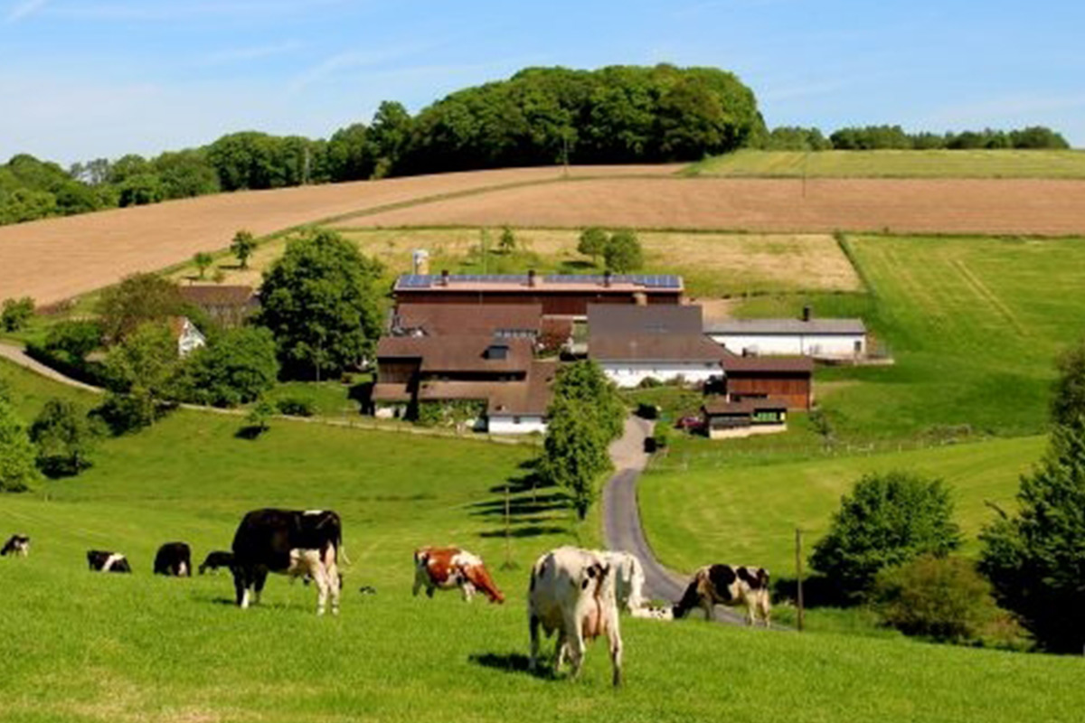 Steffens Hofbild